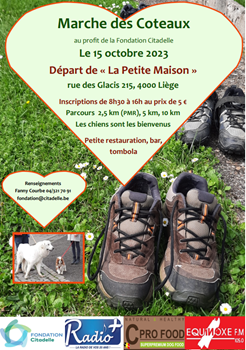 Affiche.PNG