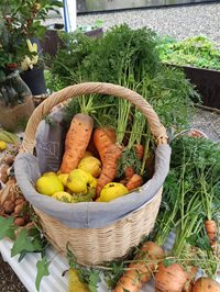 Potager-2019-(1).jpg