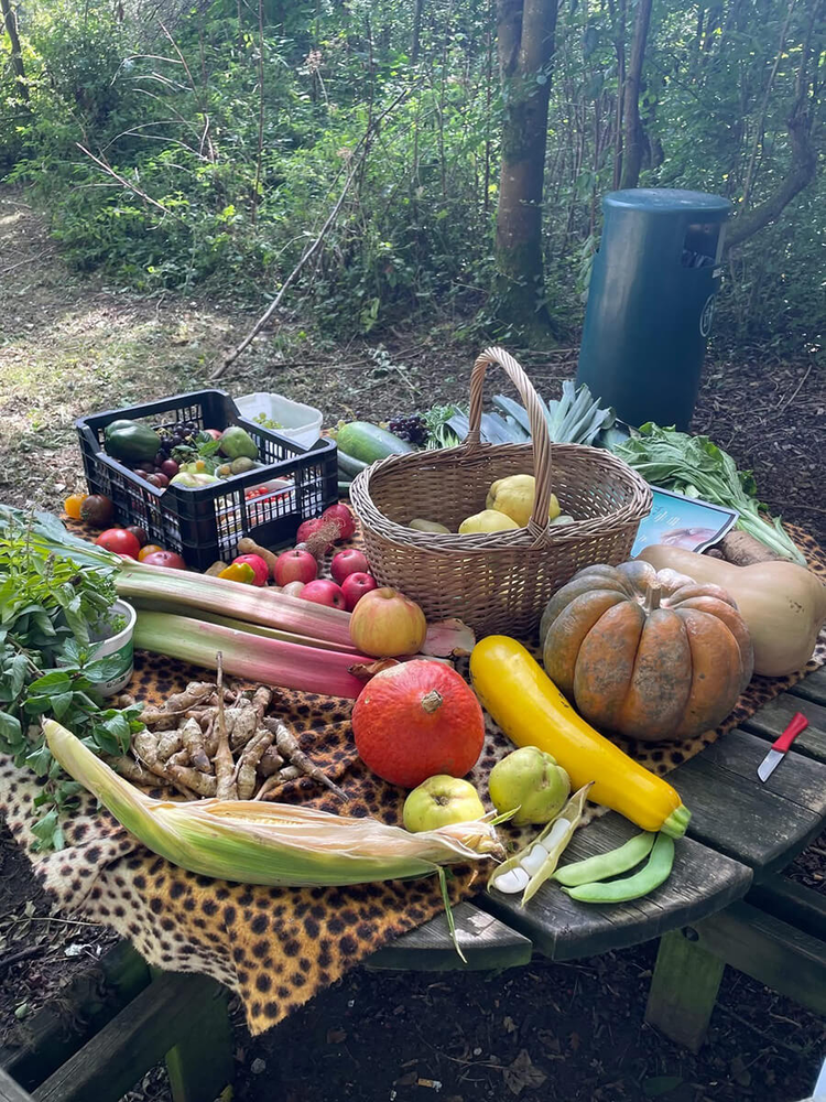 Alimentation durable repas sain