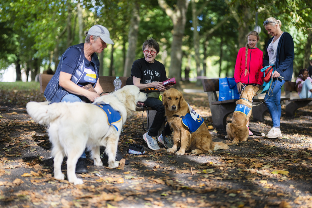 Chiens d'assistance à l'hopital de la Citadelle