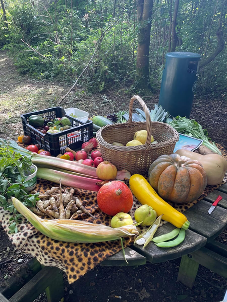 Alimentation durable repas sain